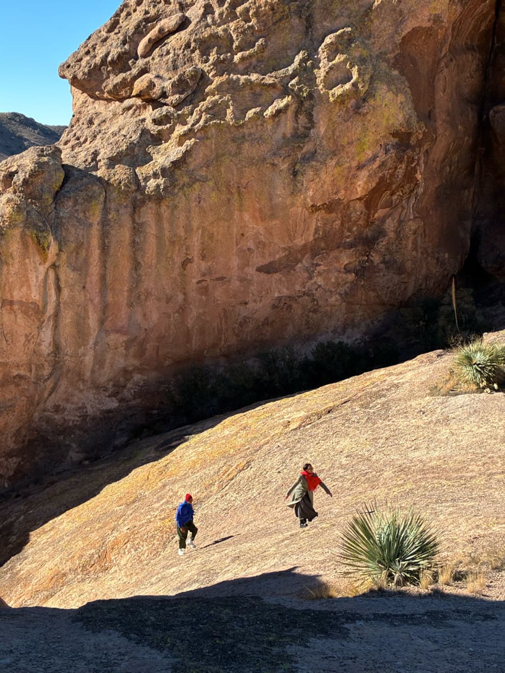 نمونه عکس آیفون ۱۶ ای با زوم دو برابر